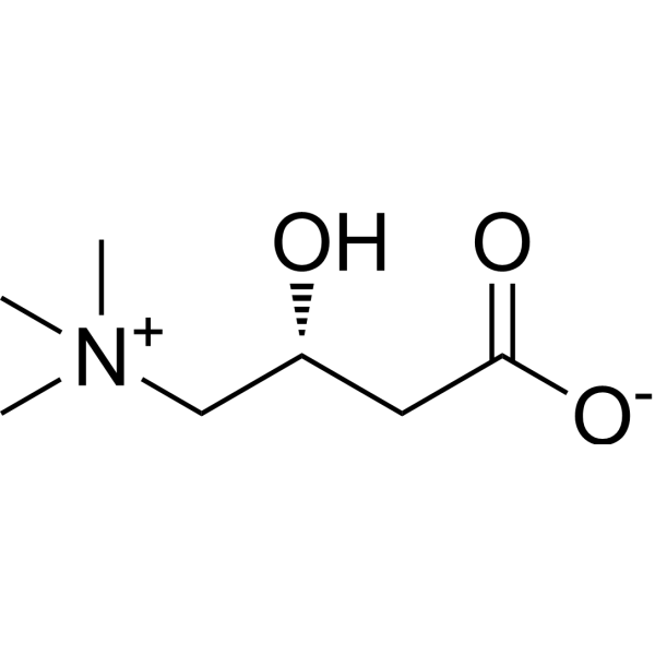 L-carnitine 500mg/ml 10ml vial - RCpeptides
